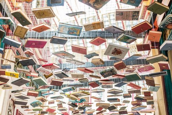 liste_Les-livres-les-plus-attendus-de-la-rentree-littera_3465